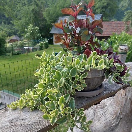 Apartmaji Katrc Soča Esterno foto