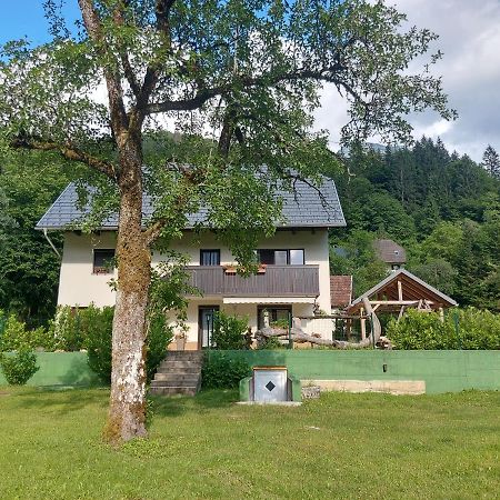 Apartmaji Katrc Soča Esterno foto