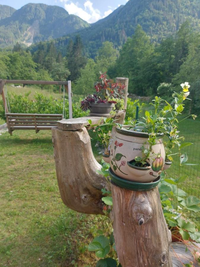 Apartmaji Katrc Soča Esterno foto