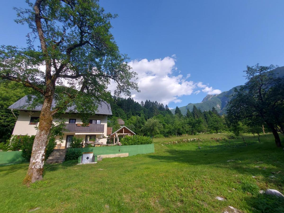 Apartmaji Katrc Soča Esterno foto