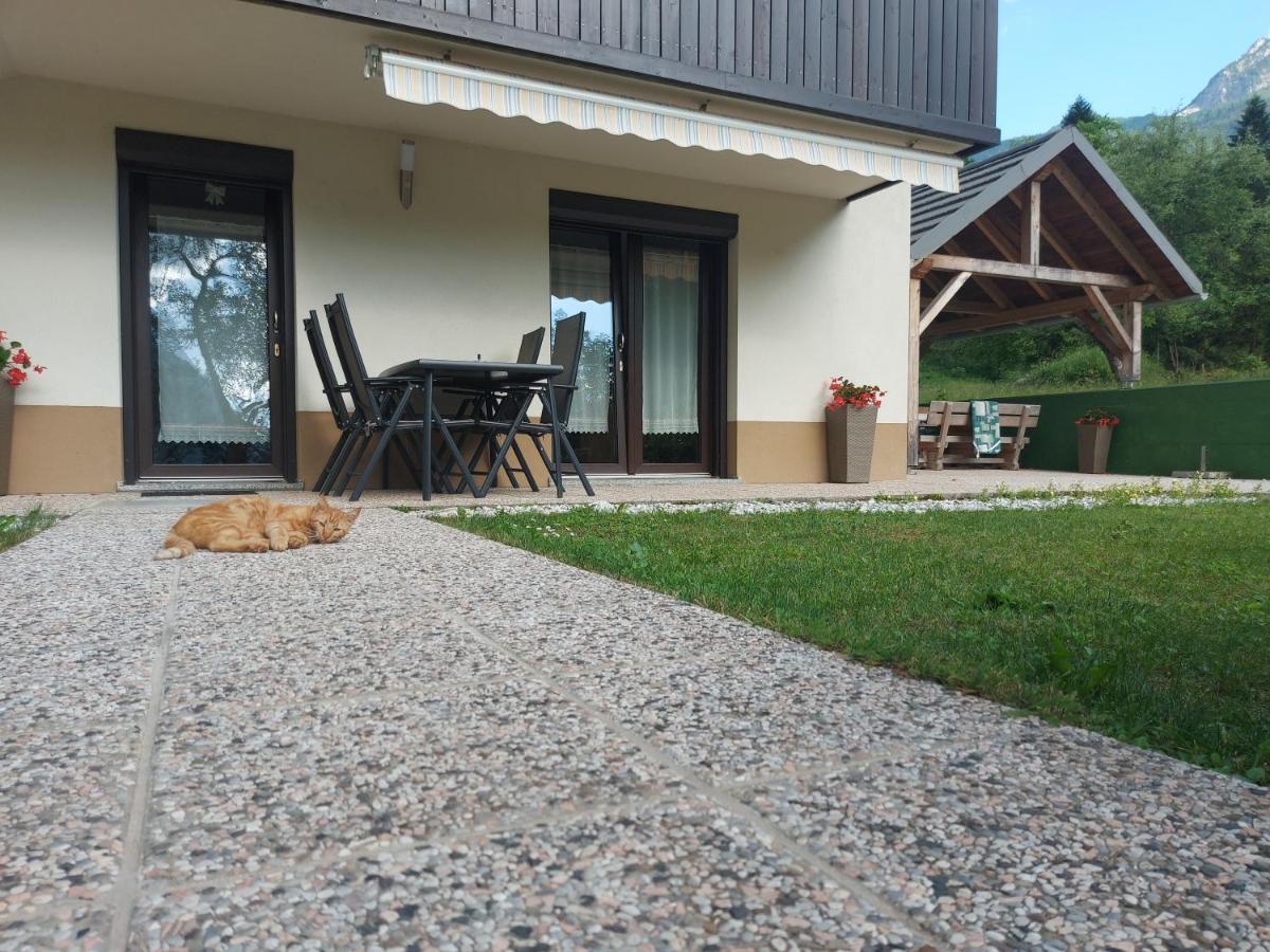 Apartmaji Katrc Soča Esterno foto