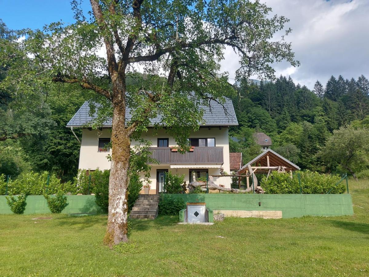 Apartmaji Katrc Soča Esterno foto