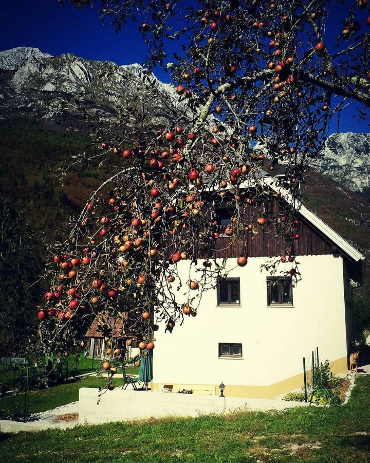 Apartmaji Katrc Soča Esterno foto