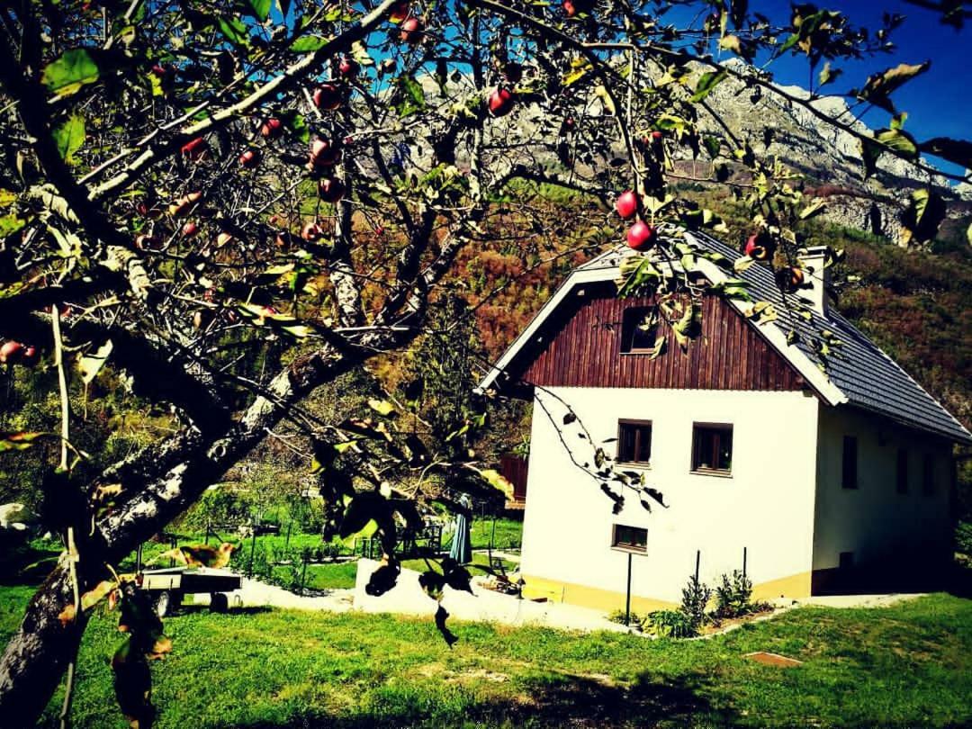 Apartmaji Katrc Soča Esterno foto