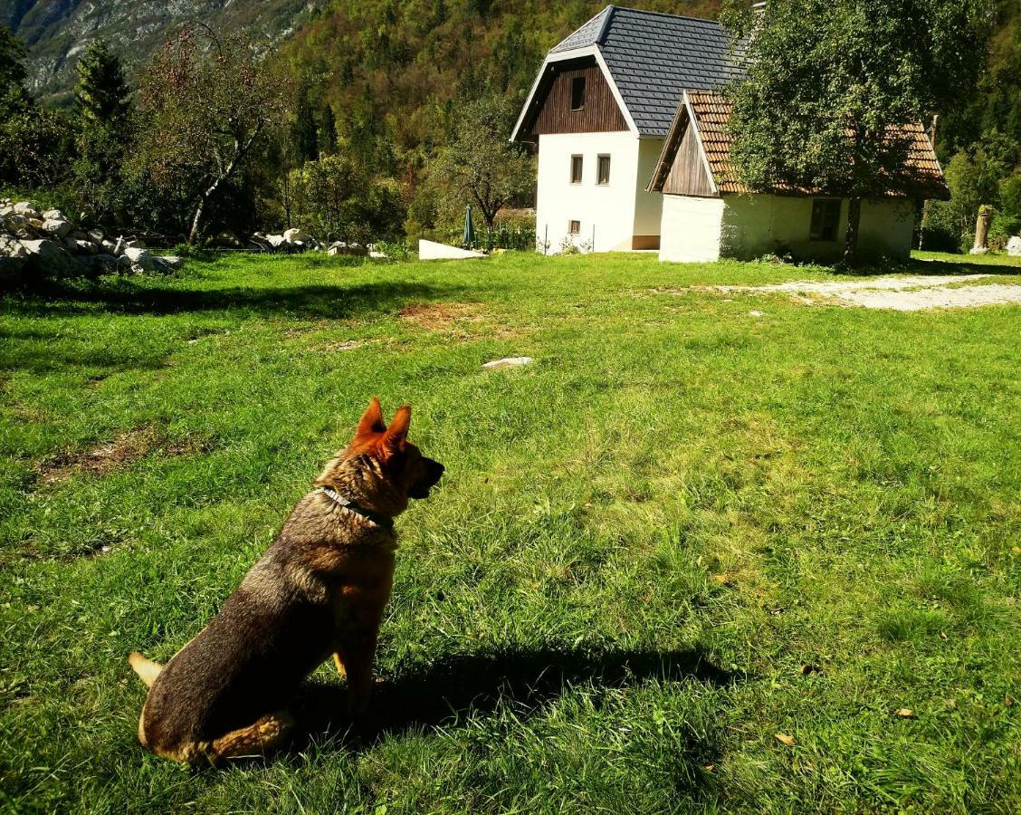 Apartmaji Katrc Soča Esterno foto